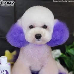 Permanent Dog Hair Dye Chic Violet 8oz by Opawz