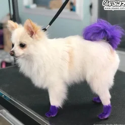 Permanent Dog Hair Dye Chic Violet 8oz by Opawz