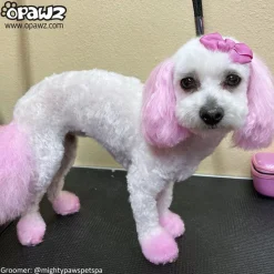 Permanent Dog Hair Dye Charm Pink 8oz by Opawz