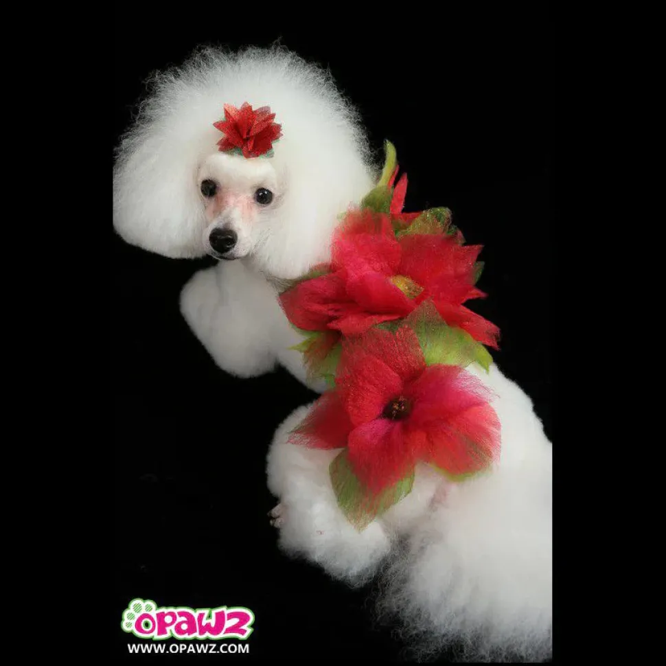Permanent Dog Hair Dye Hot Red 8oz by Opawz
