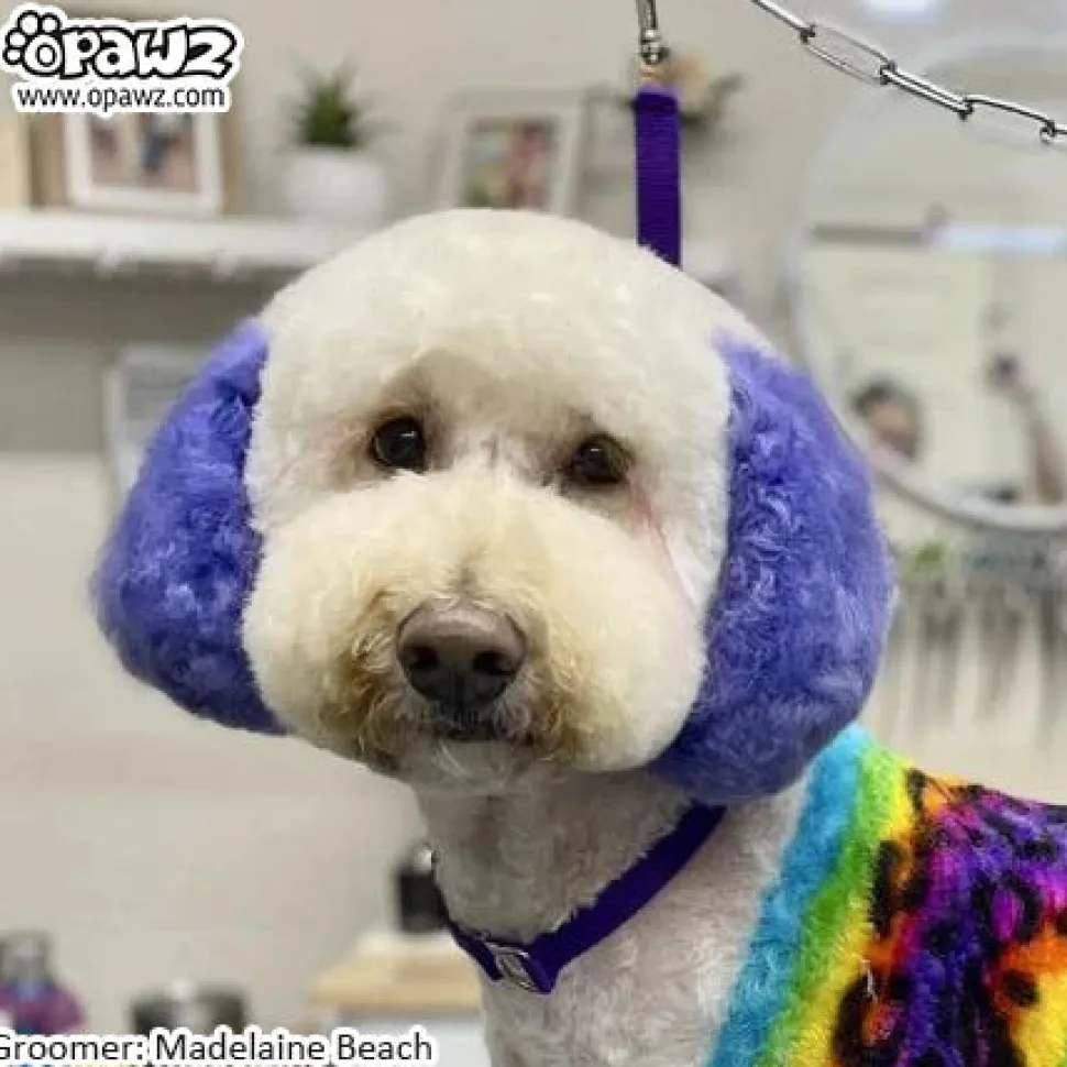Permanent Dog Hair Dye Indigo Purple 8oz by Opawz