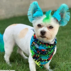 Permanent Dog Hair Dye Innocent Blue 8oz by Opawz