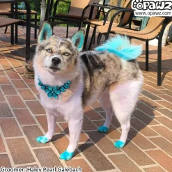 Permanent Dog Hair Dye Lamarius Blue 8oz by Opawz