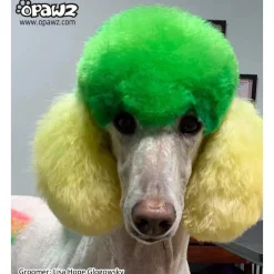 Permanent Dog Hair Dye Profound Green 8oz by Opawz