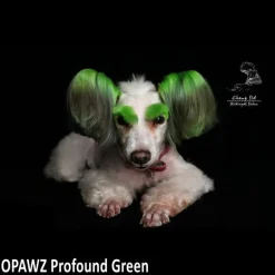 Permanent Dog Hair Dye Profound Green 8oz by Opawz
