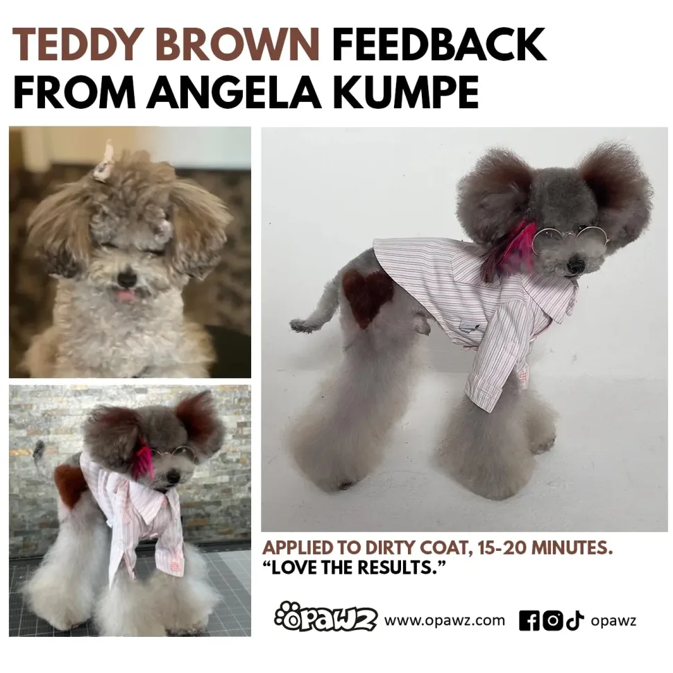 Permanent Dog Hair Dye Set Teddy Brown 2oz by Opawz