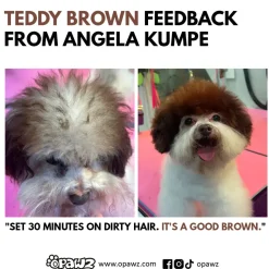 Permanent Dog Hair Dye Set Teddy Brown 2oz by Opawz
