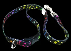 20″ Polyester Loop Rainbow Pretty Paws by Groom Loop