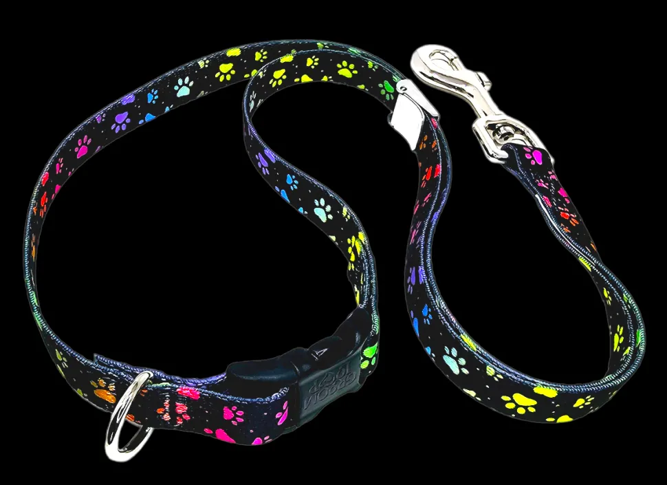 20″ Polyester Loop Rainbow Pretty Paws by Groom Loop