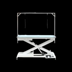 Premium LED Lighted Electric Table - 48" Top by PetStore.Direct