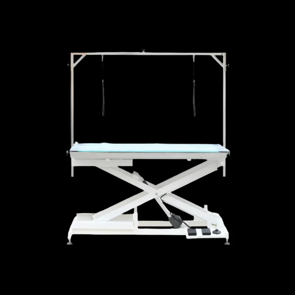 Premium LED Lighted Electric Table - 48" Top by PetStore.Direct