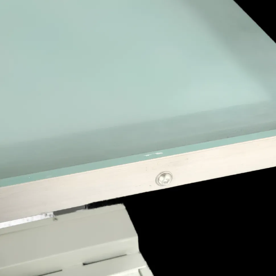 Premium LED Lighted Electric Table - 48" Top by PetStore.Direct