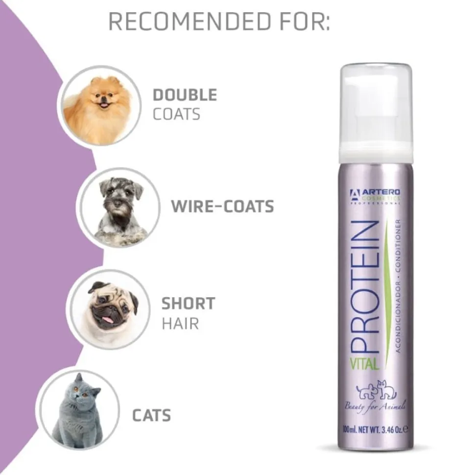 Protein Vital Leave-in Conditioner by Artero