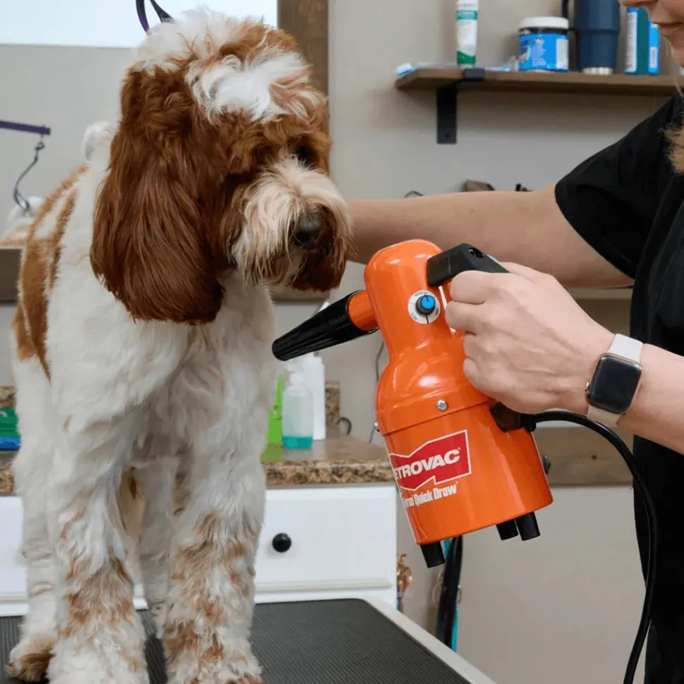 Quick Draw Compact Dog Dryer by Metrovac