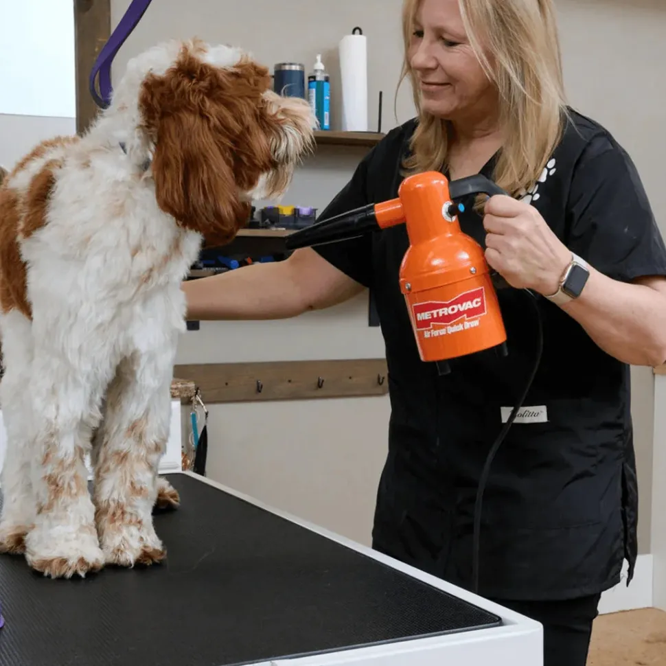 Quick Draw Compact Dog Dryer by Metrovac