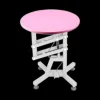 Round Air Lift Table - Pink Top by PetStore.Direct