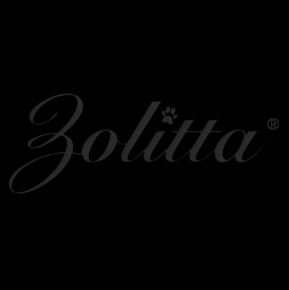 20 Scissors Case Metallic Aqua by Zolitta
