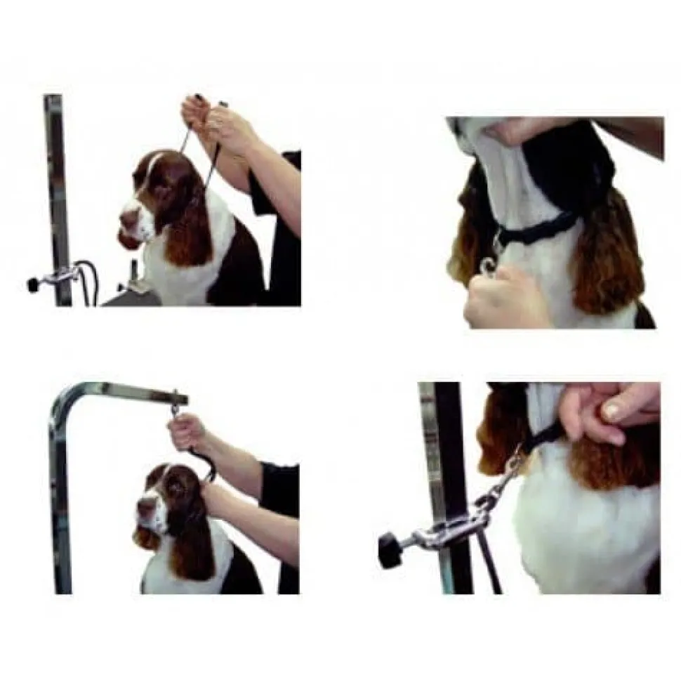 3/8" Small Grooming Loop Black by Groomer's Helper