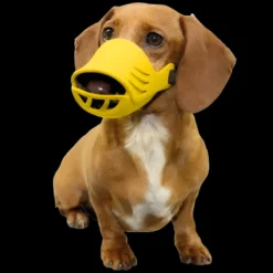 Small Silicone Muzzle for Dogs by Artero