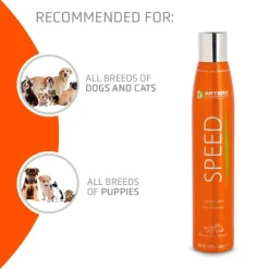 SPEED Dry Shampoo by Artero