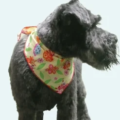 Spring & Summer Bandanas - 60 Assorted Sizes and Patterns by Bandanas Unlimited
