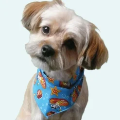 Spring & Summer Bandanas - 60 Assorted Sizes and Patterns by Bandanas Unlimited