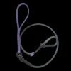 Swivel Slip Lead Amethyst by Alpha Grooming