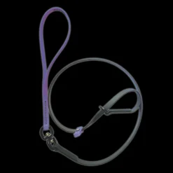 Swivel Slip Lead Amethyst by Alpha Grooming