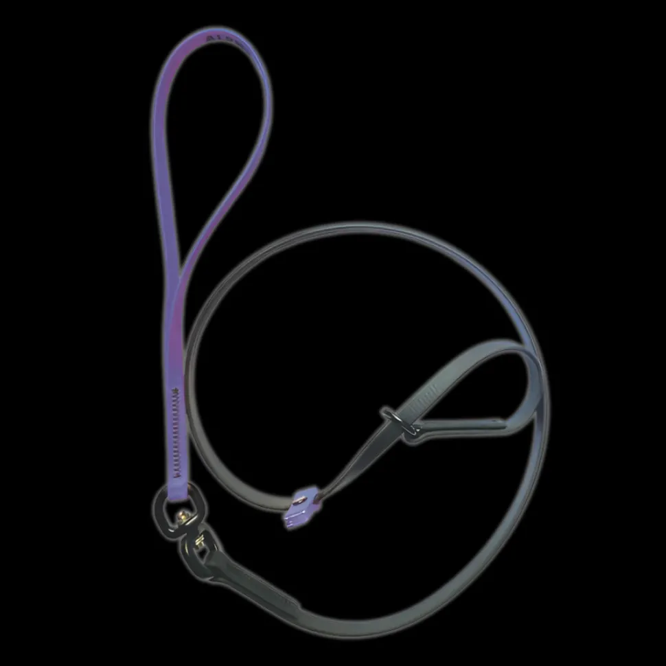 Swivel Slip Lead Amethyst by Alpha Grooming