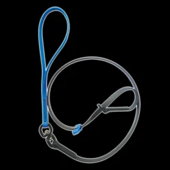 Swivel Slip Lead Light Blue by Alpha Grooming