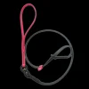 Swivel Slip Lead Pink by Alpha Grooming
