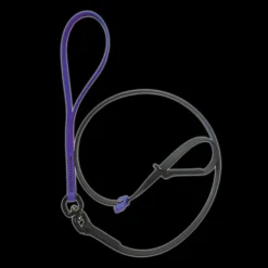 Swivel Slip Lead Violet by Alpha Grooming