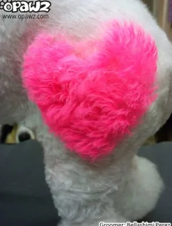Temporary Color Paste Pink 50ml by Opawz