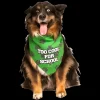 Too Cool For School Bandana by Dog Fashion Living