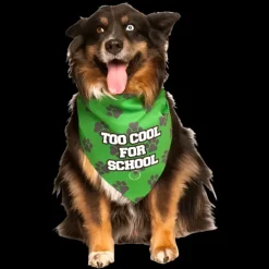 Too Cool For School Bandana by Dog Fashion Living