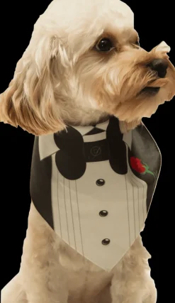 Tuxedo With Rose Wedding Dog Bandana by Dog Fashion Living