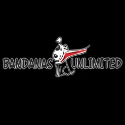 Valentine's Day Bandanas - 60 Assorted Sizes and Patterns by Bandanas Unlimited