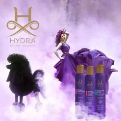 Volume in Powder Dry Shampoo by Hydra