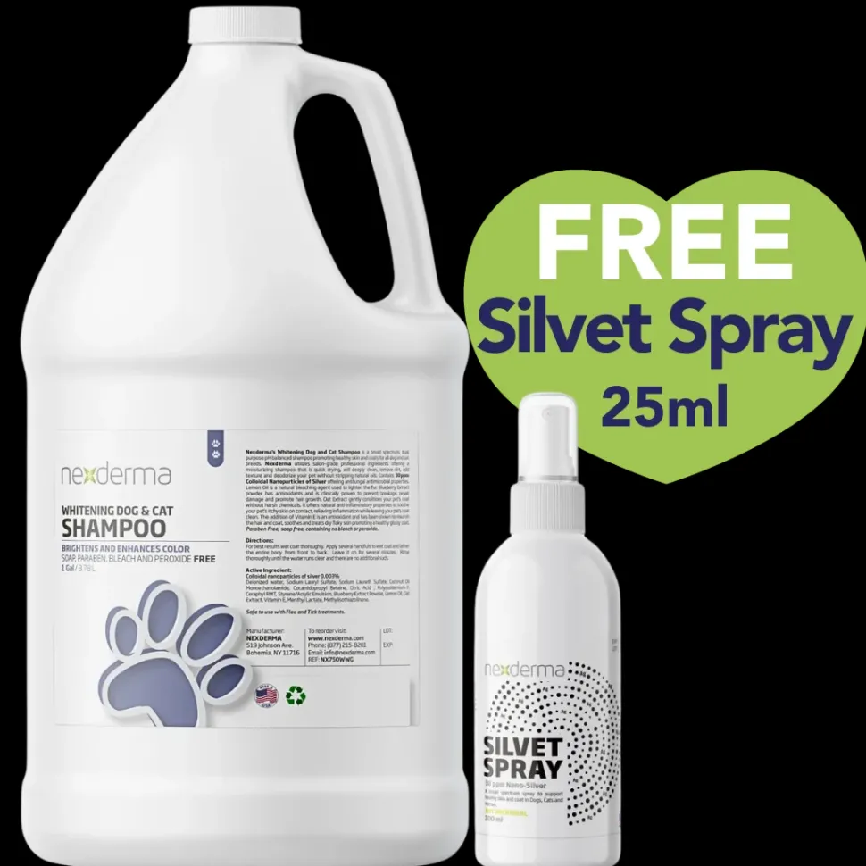 Whitening Shampoo Gallon with Free Silvet Spray 25ml by Nexderma